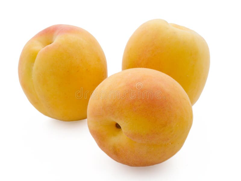 Apricots isolated on a white background