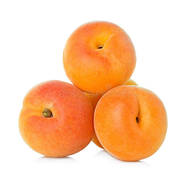 Apricots isolated on white stock photo. Image of cutout 41854944