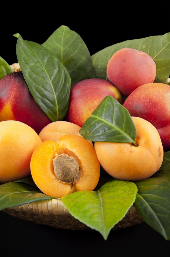 Apricots and peaches stock image. Image of organic, fruits 25541983