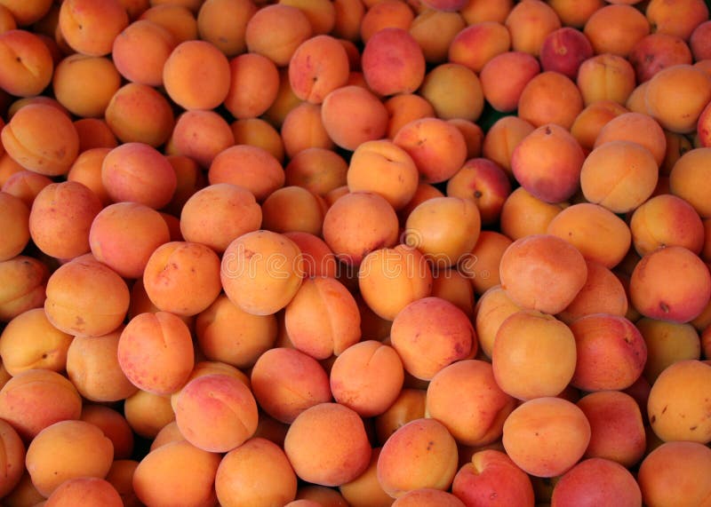 Apricots stock photo. Image of selling, stall, lots, juicy 12525432
