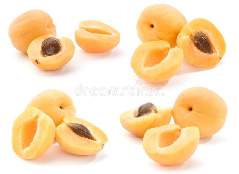 Apricots, set of full-size images