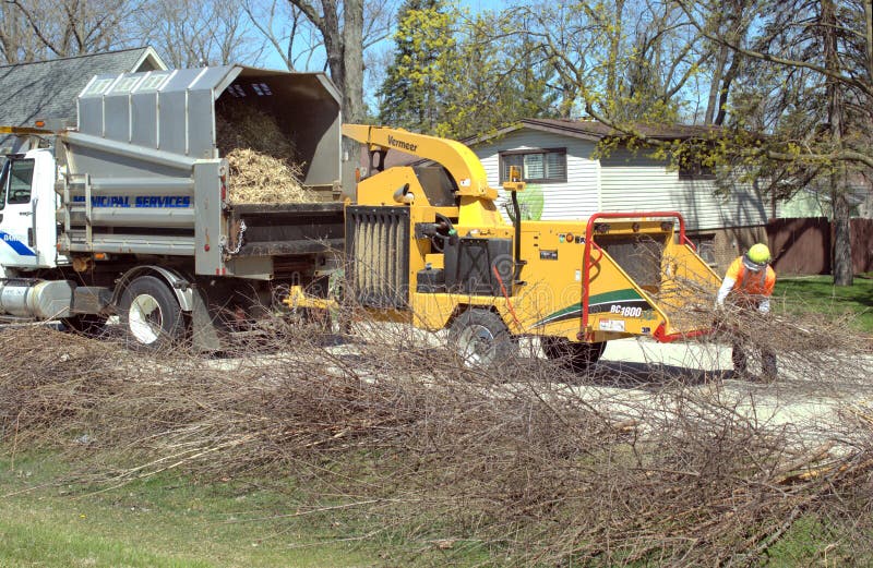 Spring Cleanuup Time. a City Worker Feeds Brush into a Wood Chipper