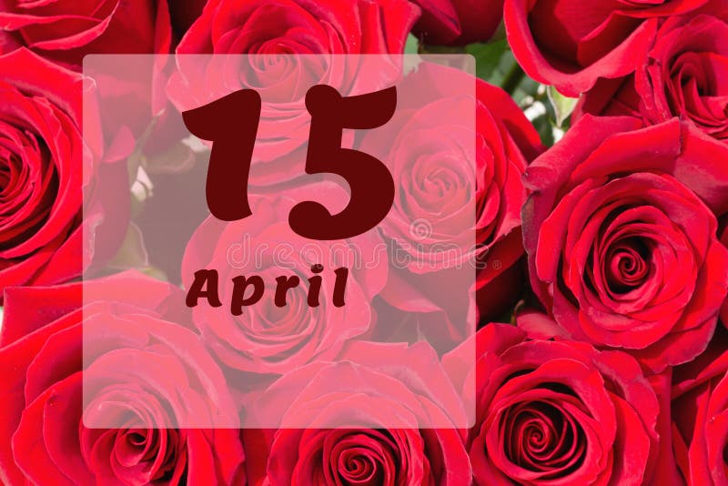April 15th. Day of 15 month, calendar date. Natural background of red roses. A bouquet of dark red roses stock photos