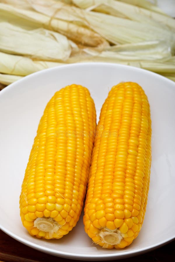 Boiled sweet corn in white ceramic plate. Boiled sweet corn in white ceramic plate