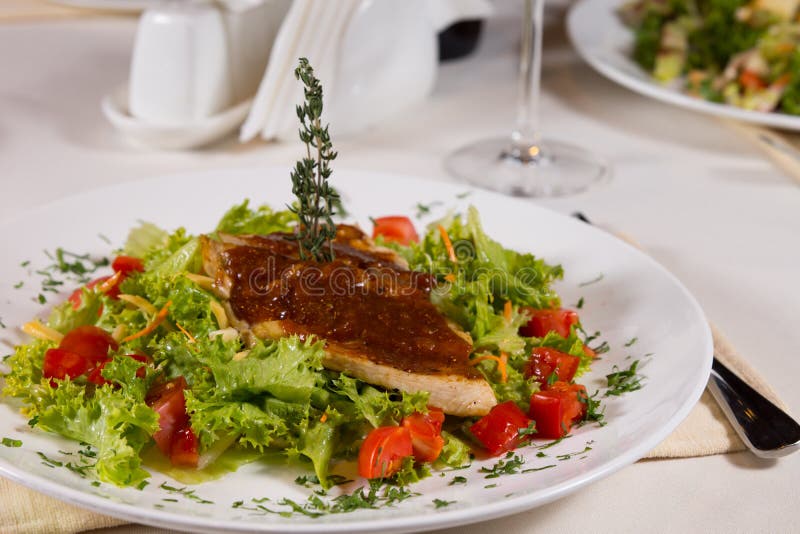 Aptitretande Meaty varmrätt på grönsallat och tomater royaltyfri fotografi Aptitretande Meaty varmrätt på grönsallat och tomater royaltyfri fotografi
