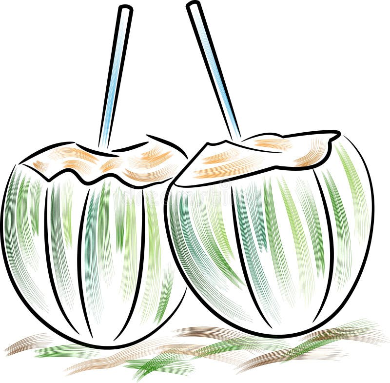 Apă dulce din nucă de cocos royalty free illustration