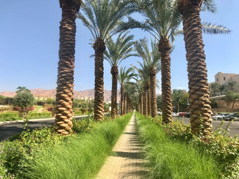 aqaba