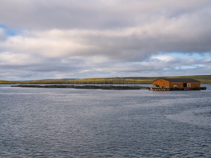 Aquaculture / fish farming in Bluemull Sound between the islands of Yell and Unst in Shetland, UK