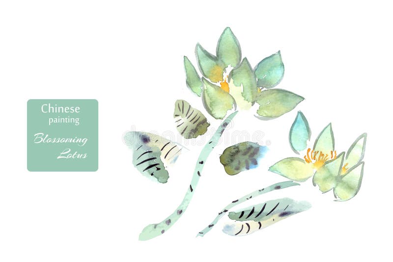 Aquarela das flores de Lotus feita ao estilo da pintura chinesa ilustração stock Aquarela das flores de Lotus feita ao estilo da pintura chinesa ilustração stock