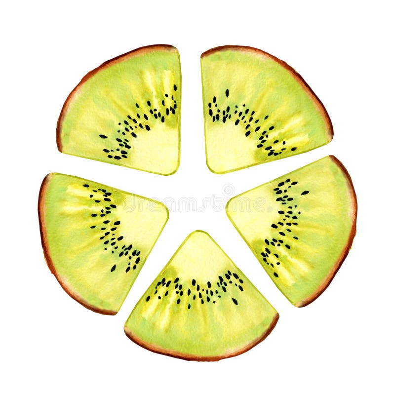 Aquarela Kiwi Fruit Polpa e sementes suculentas para o projeto da cópia, bandeira, cartaz, tampa, convites, cumprimentos, casamen imagens de stock royalty free Aquarela Kiwi Fruit Polpa e sementes suculentas para o projeto da cópia, bandeira, cartaz, tampa, convites, cumprimentos, casamen imagens de stock royalty free
