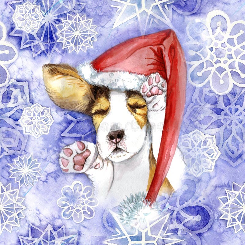 aquarela pelo Natal e o ano novo, cão no chapéu de Papai Noel, chapéu do inverno ilustração do vetor aquarela pelo Natal e o ano novo, cão no chapéu de Papai Noel, chapéu do inverno ilustração do vetor