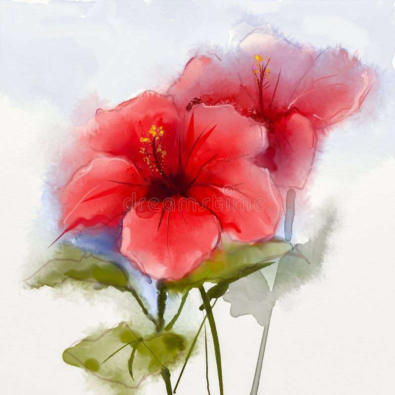 Aquarela que pinta a flor vermelha do hibiscus ilustração do vetor Aquarela que pinta a flor vermelha do hibiscus ilustração do vetor