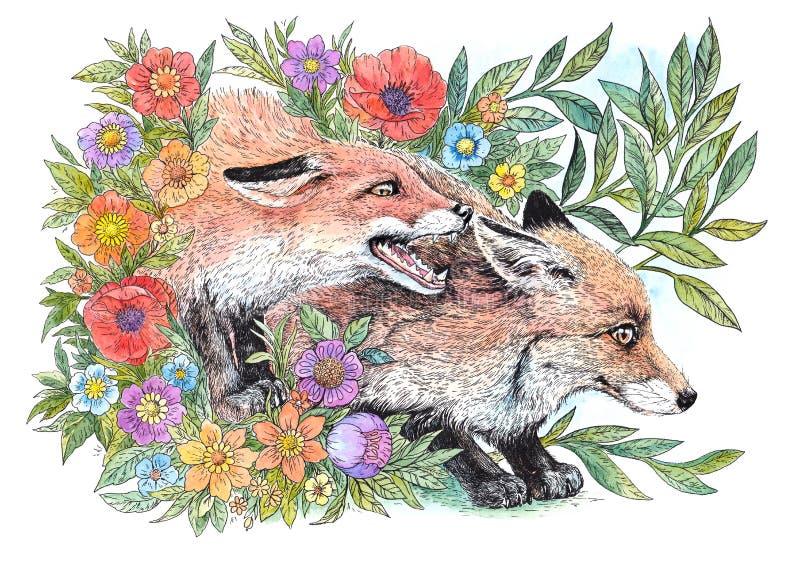 Aquarela, raposas, flores, tatuagem ilustração stock Aquarela, raposas, flores, tatuagem ilustração stock