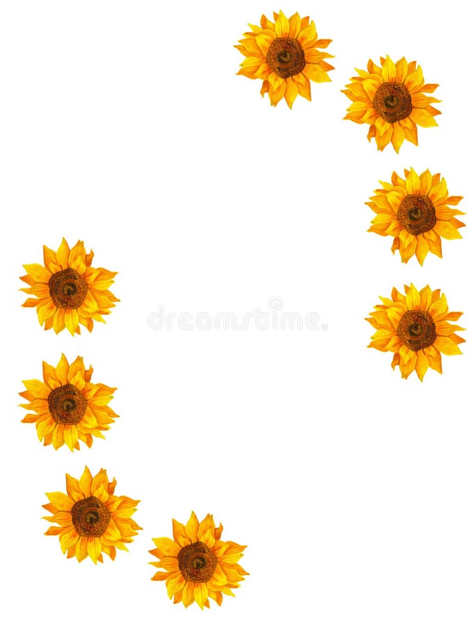 Aquarell Clipart Sommer Goldenen Rahmen Mit Sonnenblumen Strauß Mit Grünen  Blättern Isoliert. Stockfoto - Bild von hintergrund, frech: 222421134