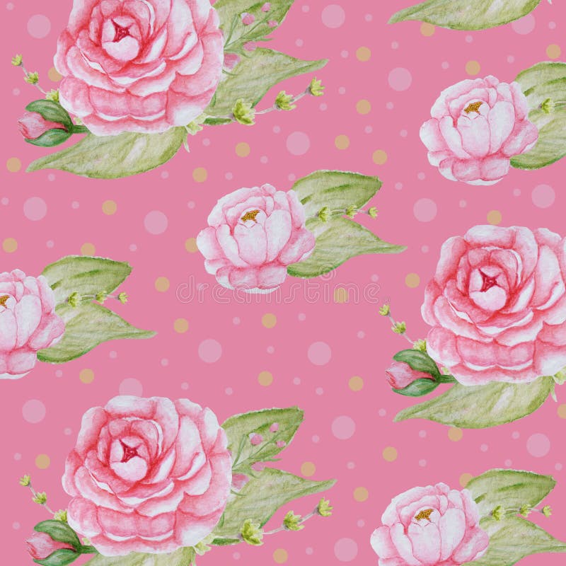 Aquarell-Pfingstrosen-Blumenmuster, rosa Pfingstrosenbeschaffenheit, romantisches Einklebebuchpapier auf rosa Hintergrund vektor abbildung Aquarell-Pfingstrosen-Blumenmuster, rosa Pfingstrosenbeschaffenheit, romantisches Einklebebuchpapier auf rosa Hintergrund vektor abbildung