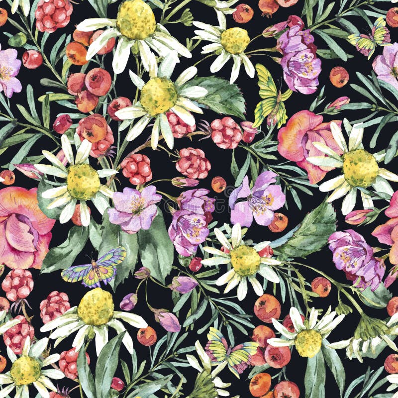 Aquarell-Sommer-nahtloses Muster mit Kamille, Beeren, Wildflowers, Blackberry und Schmetterlingen lizenzfreie abbildung Aquarell-Sommer-nahtloses Muster mit Kamille, Beeren, Wildflowers, Blackberry und Schmetterlingen lizenzfreie abbildung