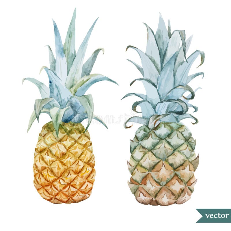 Aquarell, tropisch, Ananas, exotisch, Muster vektor abbildung Aquarell, tropisch, Ananas, exotisch, Muster vektor abbildung