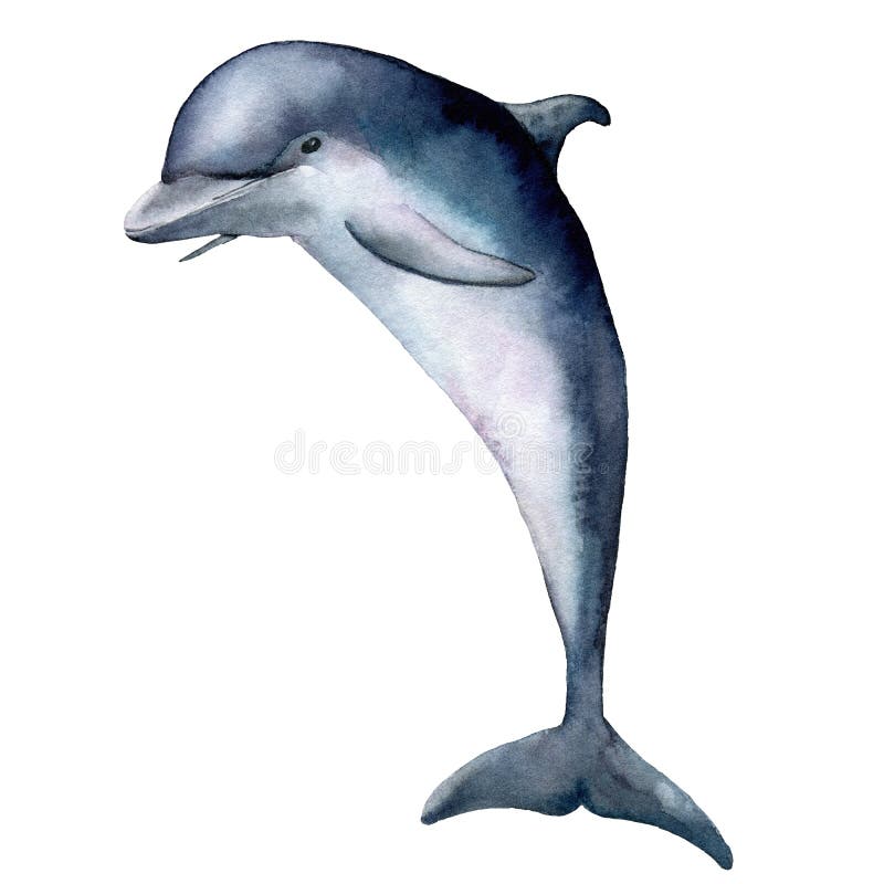 Aquarelldelphin Unterwassertierillustration lokalisiert auf wei? em Hintergrund F? r Design, Drucke oder Hintergrund stock abbildung