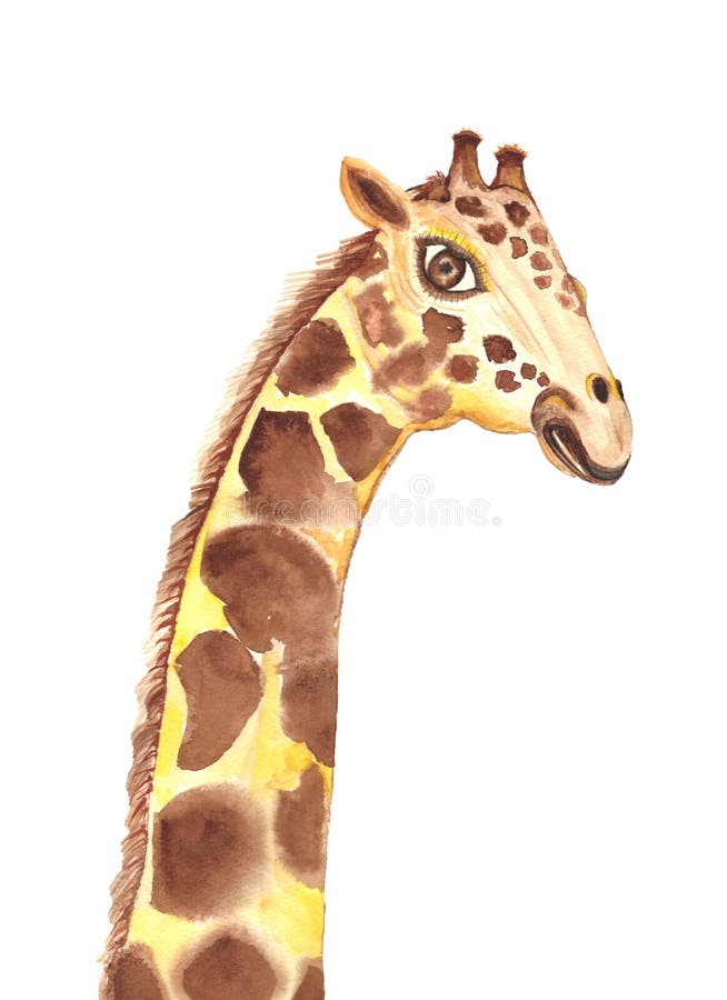 portrait de tête de girafe à partir de peintures multicolores. éclaboussure  d'aquarelle, dessin coloré, réaliste. illustration vectorielle de peintures  3621318 Art vectoriel chez Vecteezy