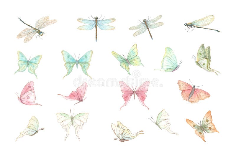 Aquarelle floutant délicat papillons abstraits et mouches isolées illustration sur blanc. coloré vintage tropical illustration de vecteur