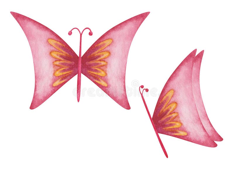 Aquarelle illustration du papillon jaune rose peint à la main avec ailes étalées. papillon de la nature. isolé sur blanc illustration stock