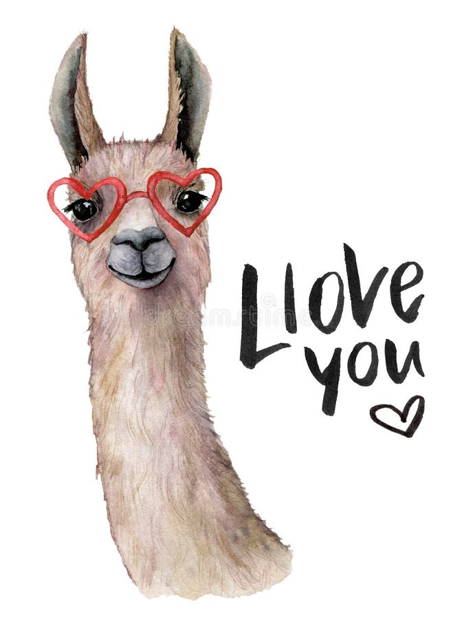Aquarelle Llove vous carte avec le lama et les lunettes de soleil Belle illustration peinte à la main avec l'animal, lunettes de