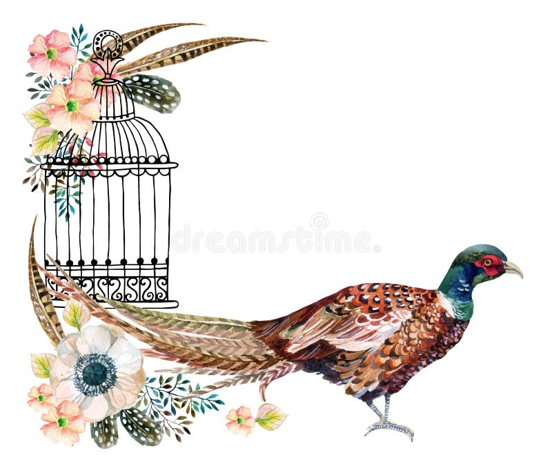Aquarellfasankarte stock abbildung Aquarellfasankarte stock abbildung