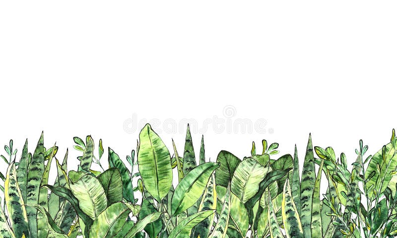 Aquarellgrünsammlung Horizontaler Hintergrund vektor abbildung Aquarellgrünsammlung Horizontaler Hintergrund vektor abbildung