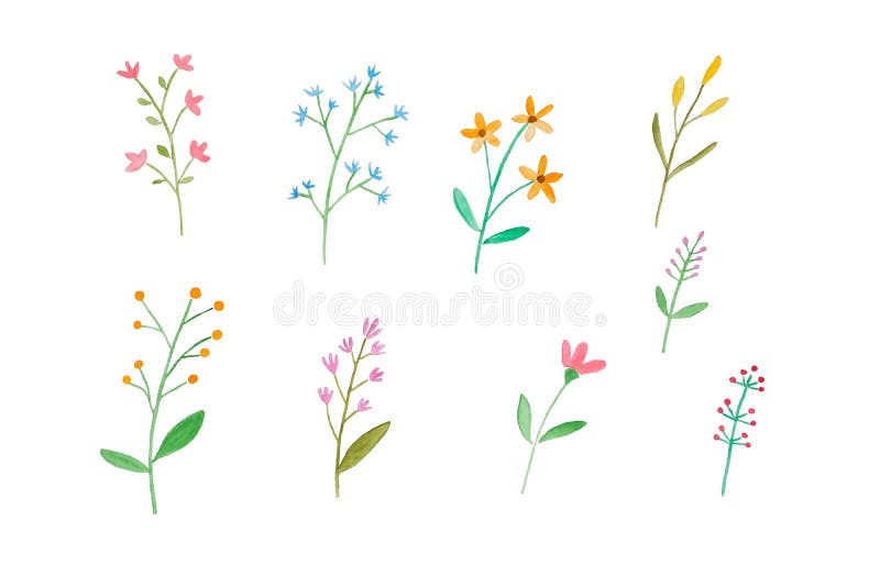 Aquarellillustrations-Kunstentwurf, stellte von den bunten Blumen in Aquarellhand-pianting Art lokalisiert auf weißem Hintergrund lizenzfreie abbildung Aquarellillustrations-Kunstentwurf, stellte von den bunten Blumen in Aquarellhand-pianting Art lokalisiert auf weißem Hintergrund lizenzfreie abbildung