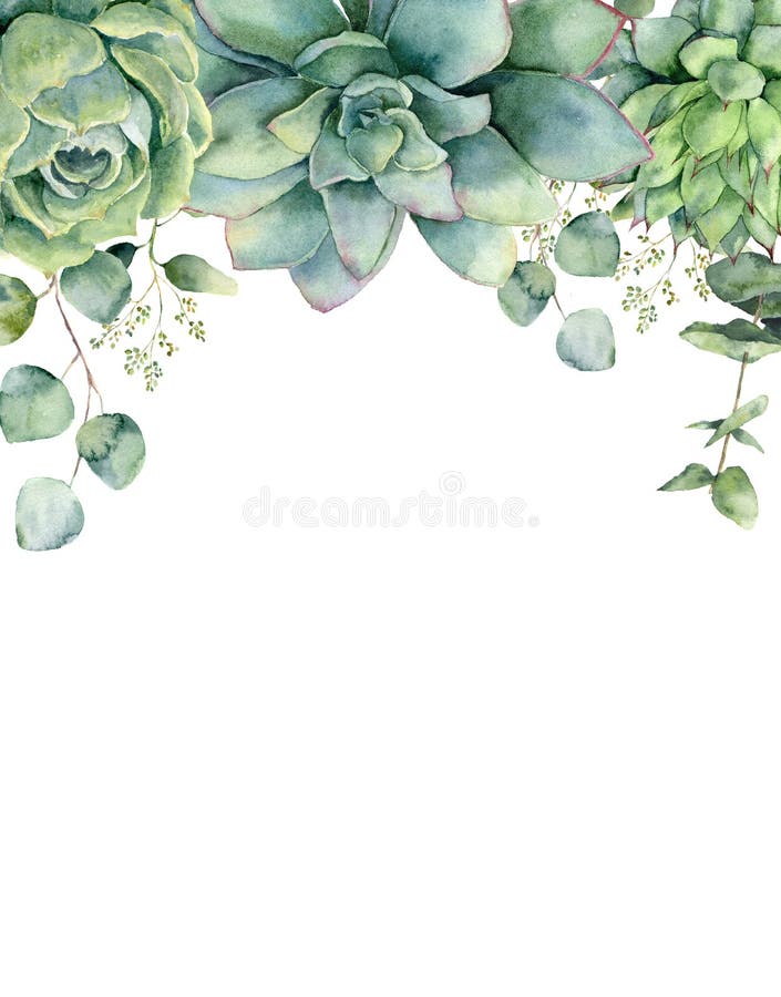 Aquarellkarte mit Succulents und Eukalyptusblättern Handgemalte Eukalyptusniederlassung, grüne Succulents an lokalisiert lizenzfreie abbildung Aquarellkarte mit Succulents und Eukalyptusblättern Handgemalte Eukalyptusniederlassung, grüne Succulents an lokalisiert lizenzfreie abbildung