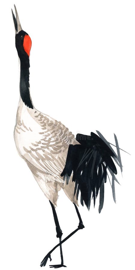 Aquarellkranvogel lizenzfreie abbildung Aquarellkranvogel lizenzfreie abbildung