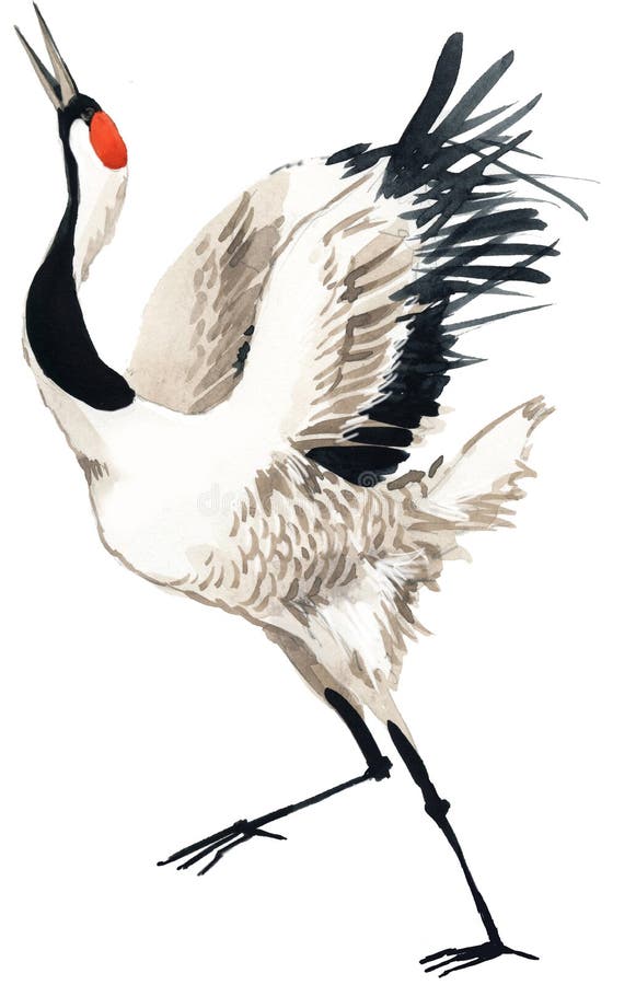 Aquarellkranvogel vektor abbildung Aquarellkranvogel vektor abbildung