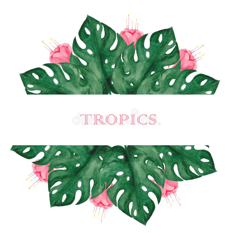 Aquarellsatz mit tropischen Bl?ttern und Blumen stock abbildung Aquarellsatz mit tropischen Bl?ttern und Blumen stock abbildung