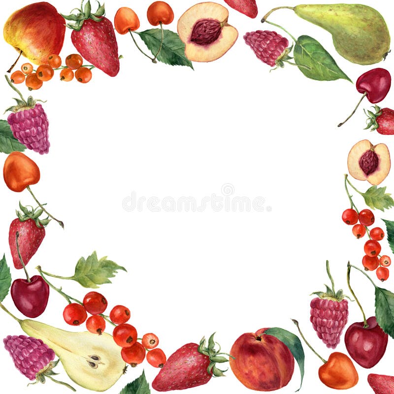 Aquarellsommerfrucht und Beerenrahmenkarte Handgemalte Grenze mit der Frucht, Beeren und Blättern lokalisiert auf Weiß vektor abbildung Aquarellsommerfrucht und Beerenrahmenkarte Handgemalte Grenze mit der Frucht, Beeren und Blättern lokalisiert auf Weiß vektor abbildung