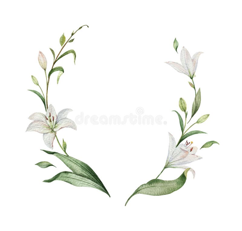 Aquarellvektorkranz von Lilienblumen und von gr? nen Bl? ttern stock abbildung