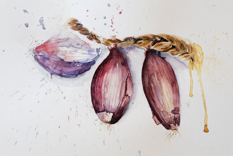 Aquarellzeichnungsschuß lizenzfreie abbildung Aquarellzeichnungsschuß lizenzfreie abbildung