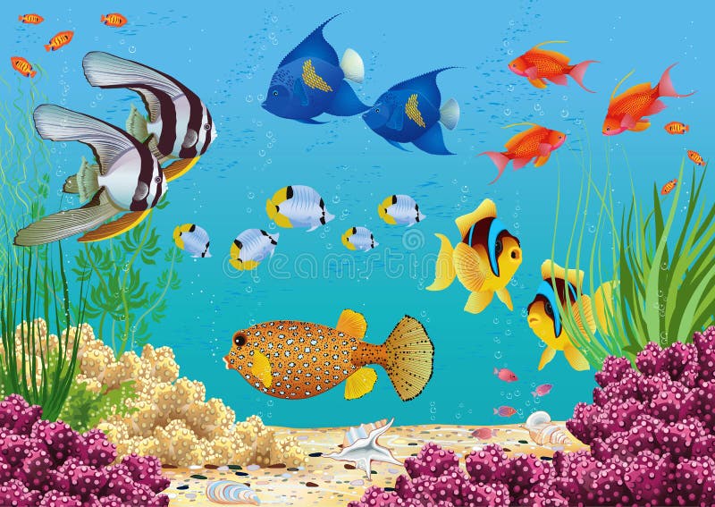 Aquarium stock illustration