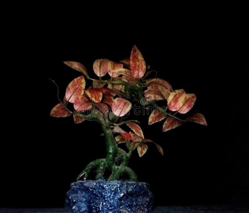 Aquarium Artificial Plant Orange Portrait Stock Photo Image of orange