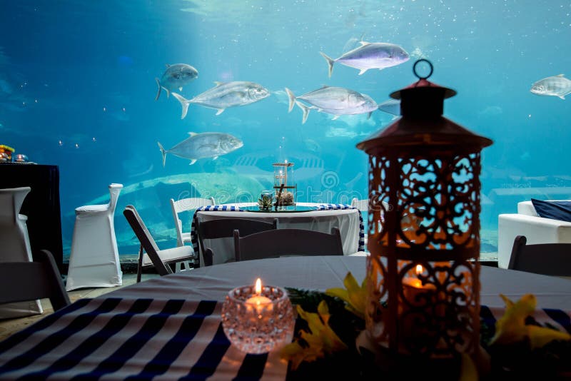 Aquarium dans le restaurant
