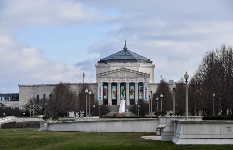 Aquarium de Chicago photo éditorial. Image du février 82153306