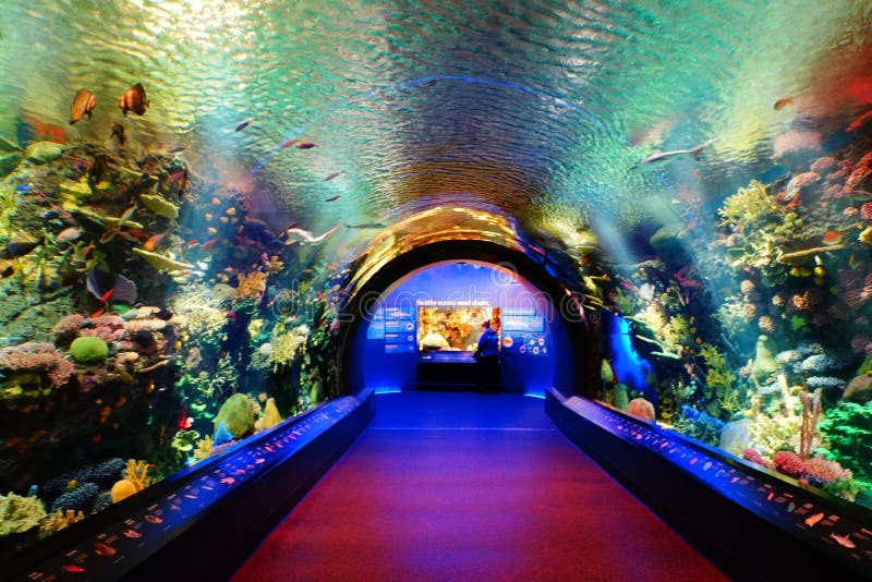 Aquarium 40 de New York