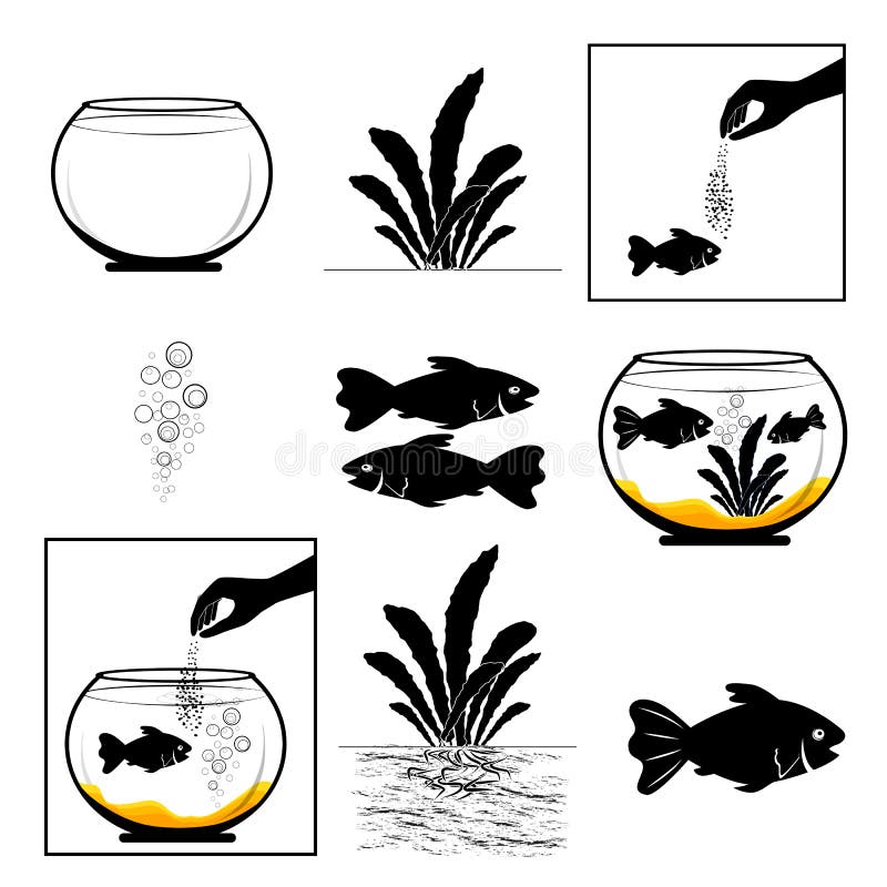 a fish in an aquarium with flat sides a fish in an aquarium with flat sides
