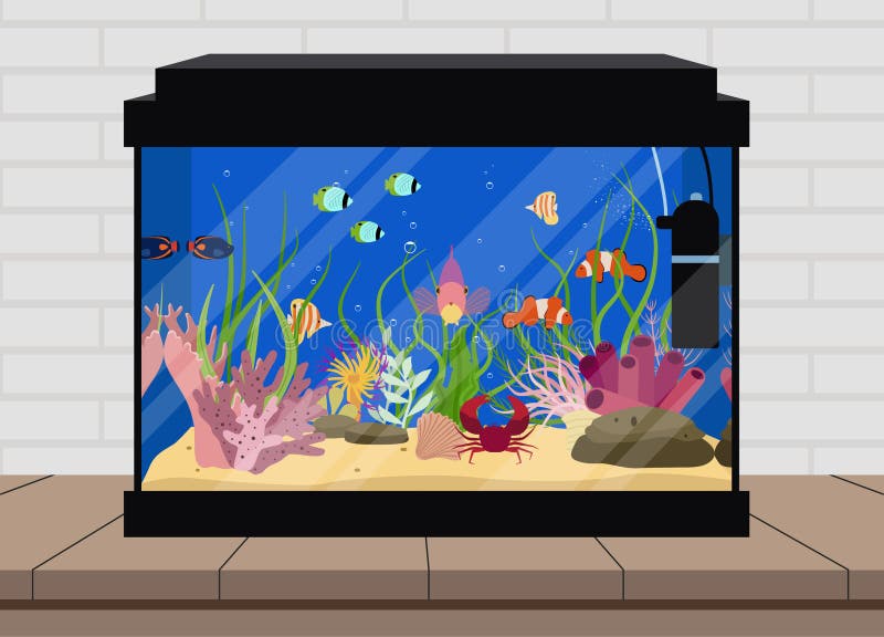 Aquaristics and Aquarium Fishes Set Stock Vector Illustration of reef