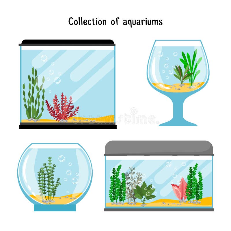 Aquarium forms vector illustration. Decoration home empty glass tanks isolated stock illustration