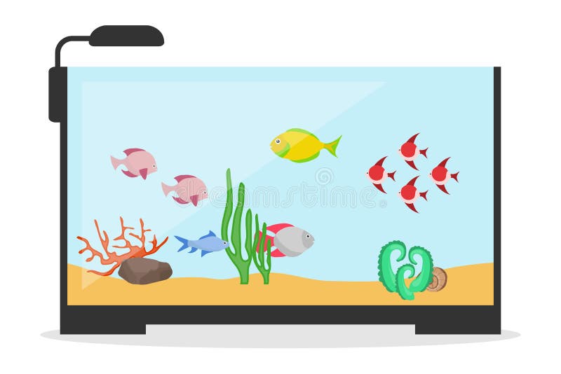 Aquarium, a Realistic Aquarium with Fish and Algae. Vector Illustration