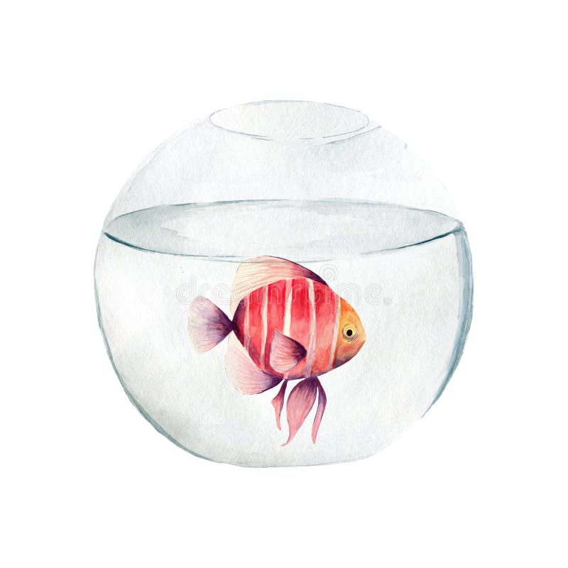 Minimalitic aquarium fishes in circle.Design element,vector flat  illustration Stock Vector by ©cottidie.gmail.com 553110840