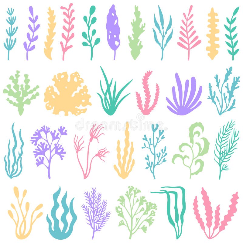 Aquarium seaweed silhouette. Underwater planting plant and seaweeds for aquariums decor. Sea plants vector set