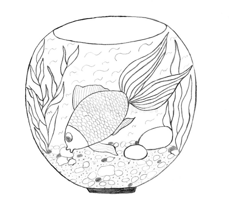 Aquarium sketch stock illustration. Illustration of black - 13471447