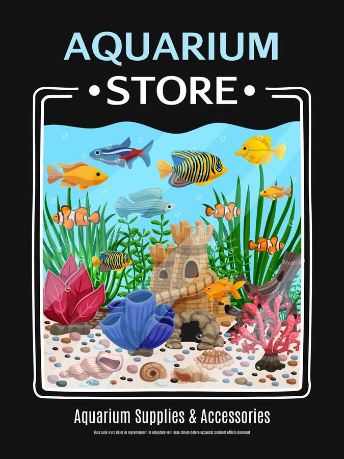 fish aquarium supplies