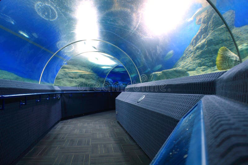 Aquarium tunnel stock photo. Image of reef, pathway, glass 29186498